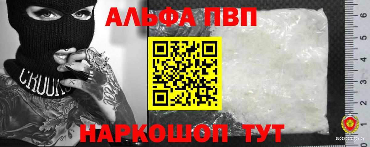 Альфа ПВП СК КРИС Кимовск