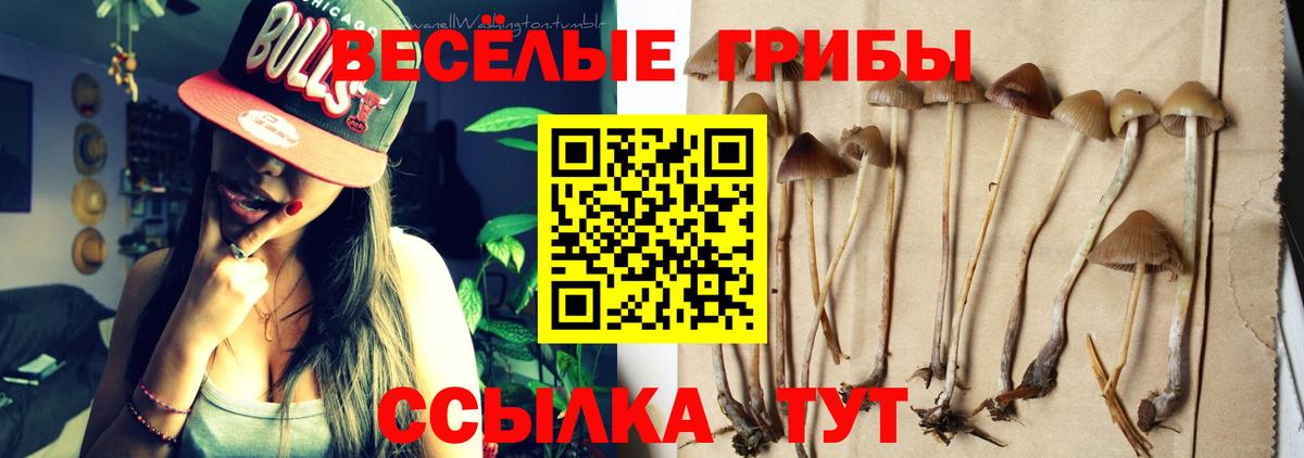 где купить наркотик  Вход с VPN  Псилоцибиновые грибы Psilocybine cubensis  Кимовск  Псилоцибиновые грибы MAGIC MUSHROOMS 