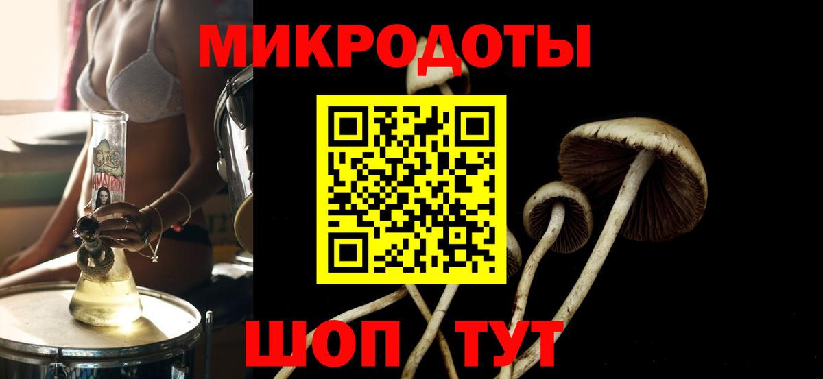 Галлюциногенные грибы Magic Shrooms Кимовск